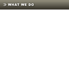 What we do
